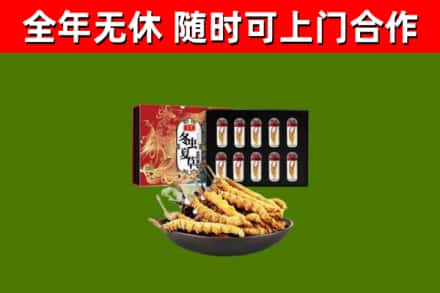 田阳烟酒回收冬虫夏草礼盒.jpg